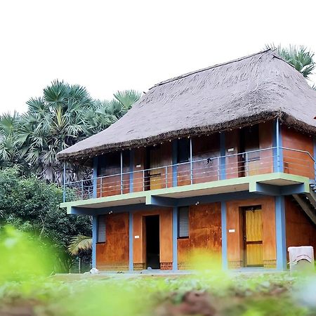 Time Travellers Farmstay Auroville Exterior foto