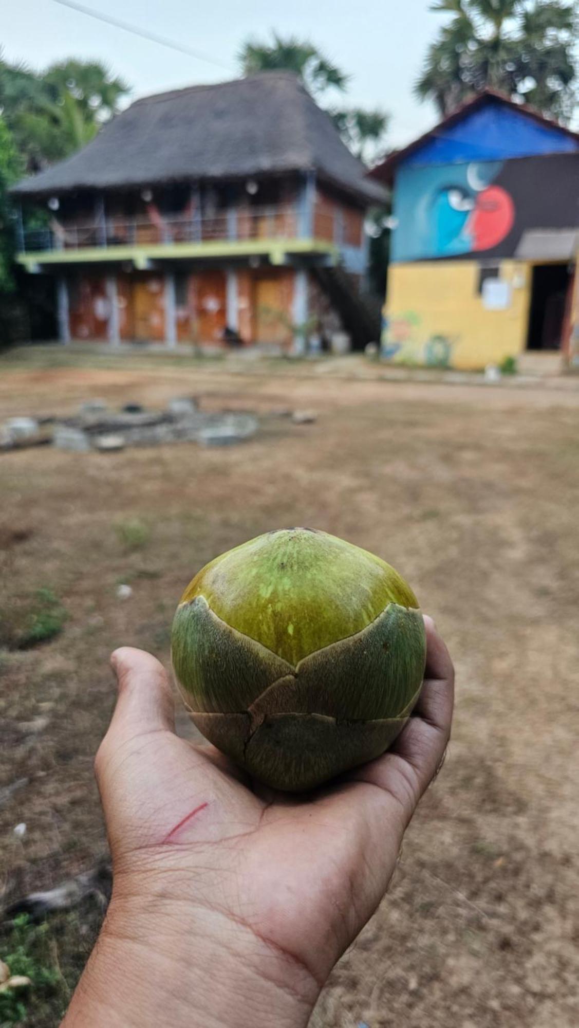 Time Travellers Farmstay Auroville Exterior foto