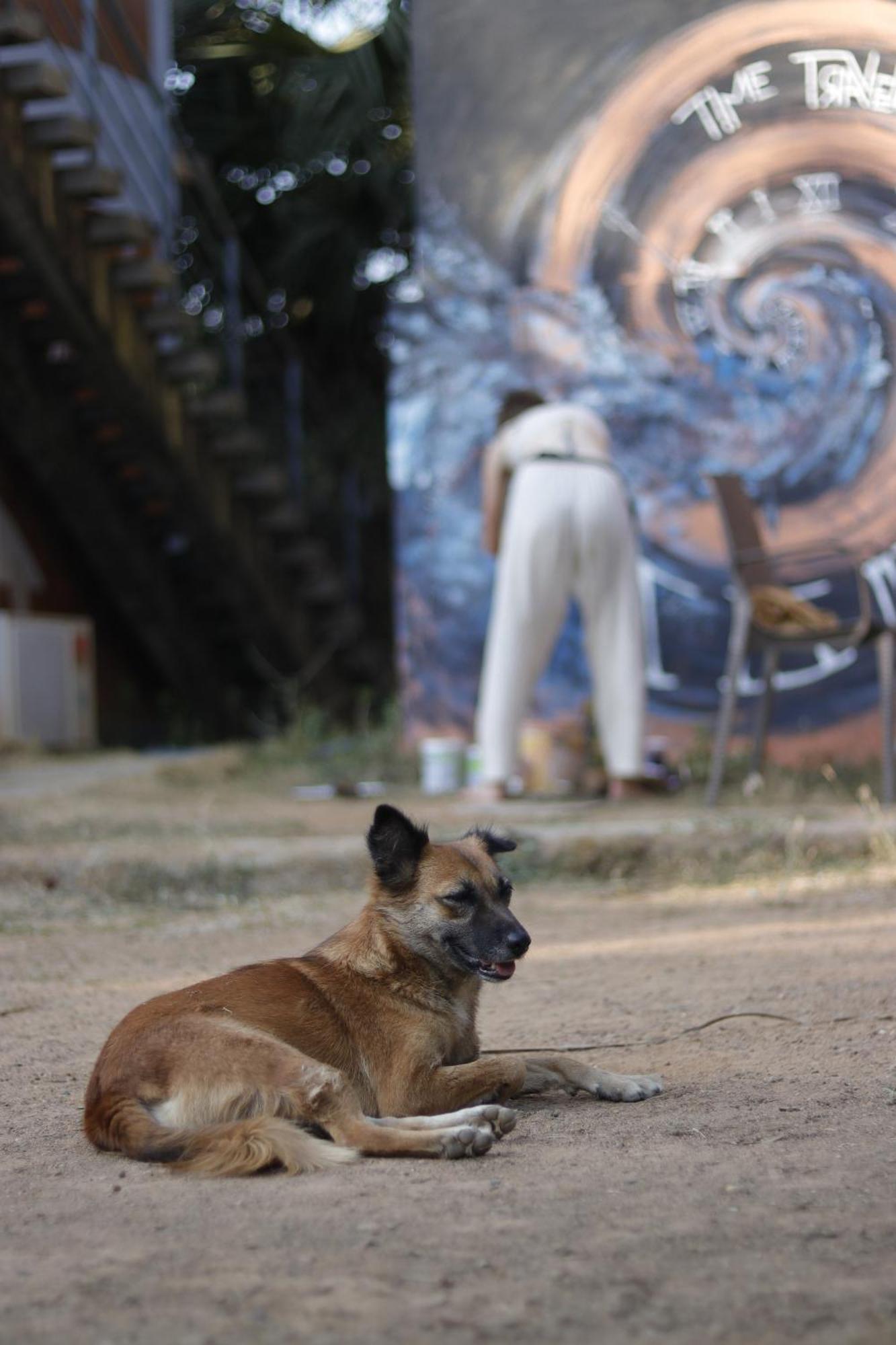 Time Travellers Farmstay Auroville Exterior foto