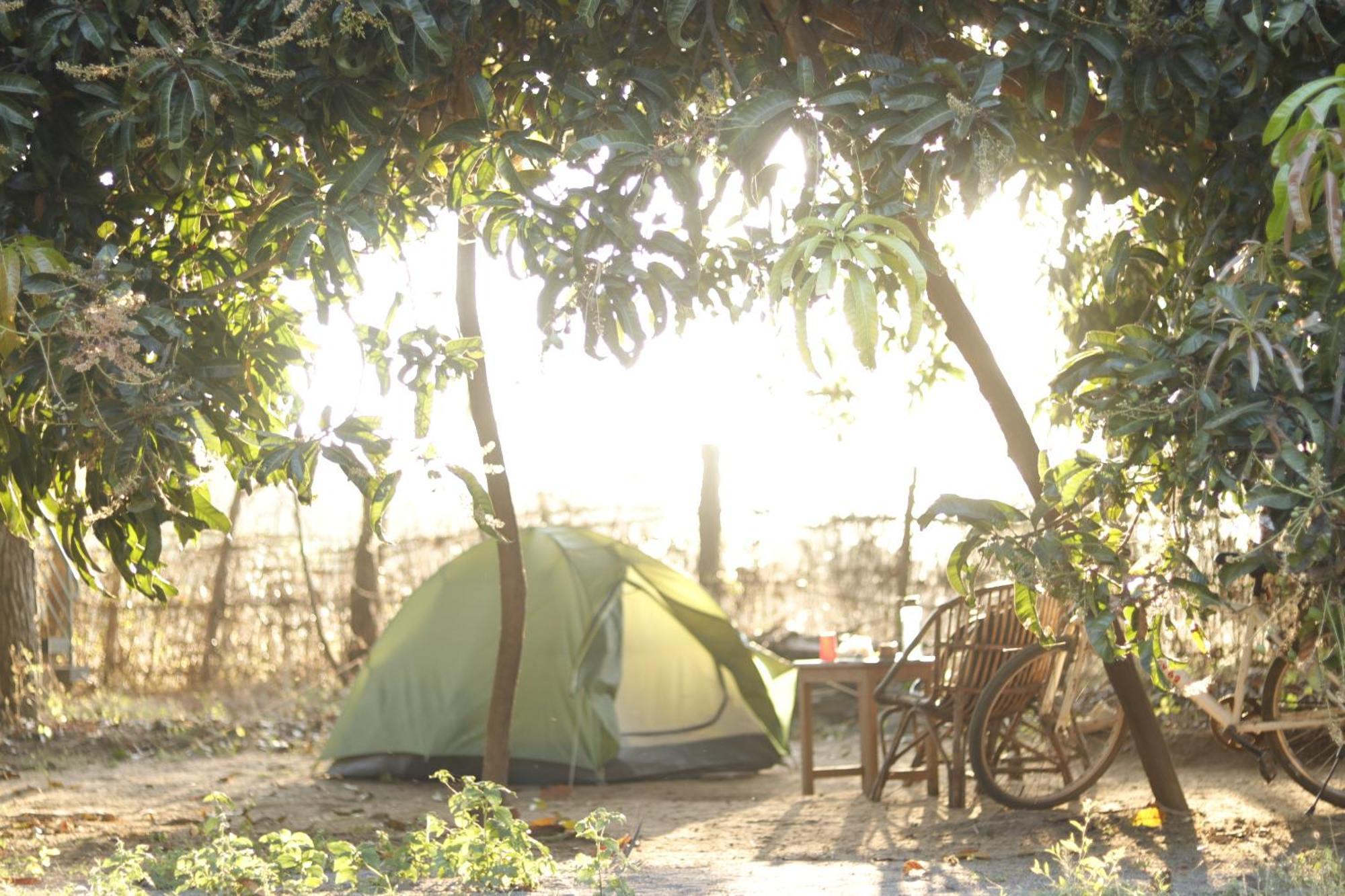 Time Travellers Farmstay Auroville Exterior foto