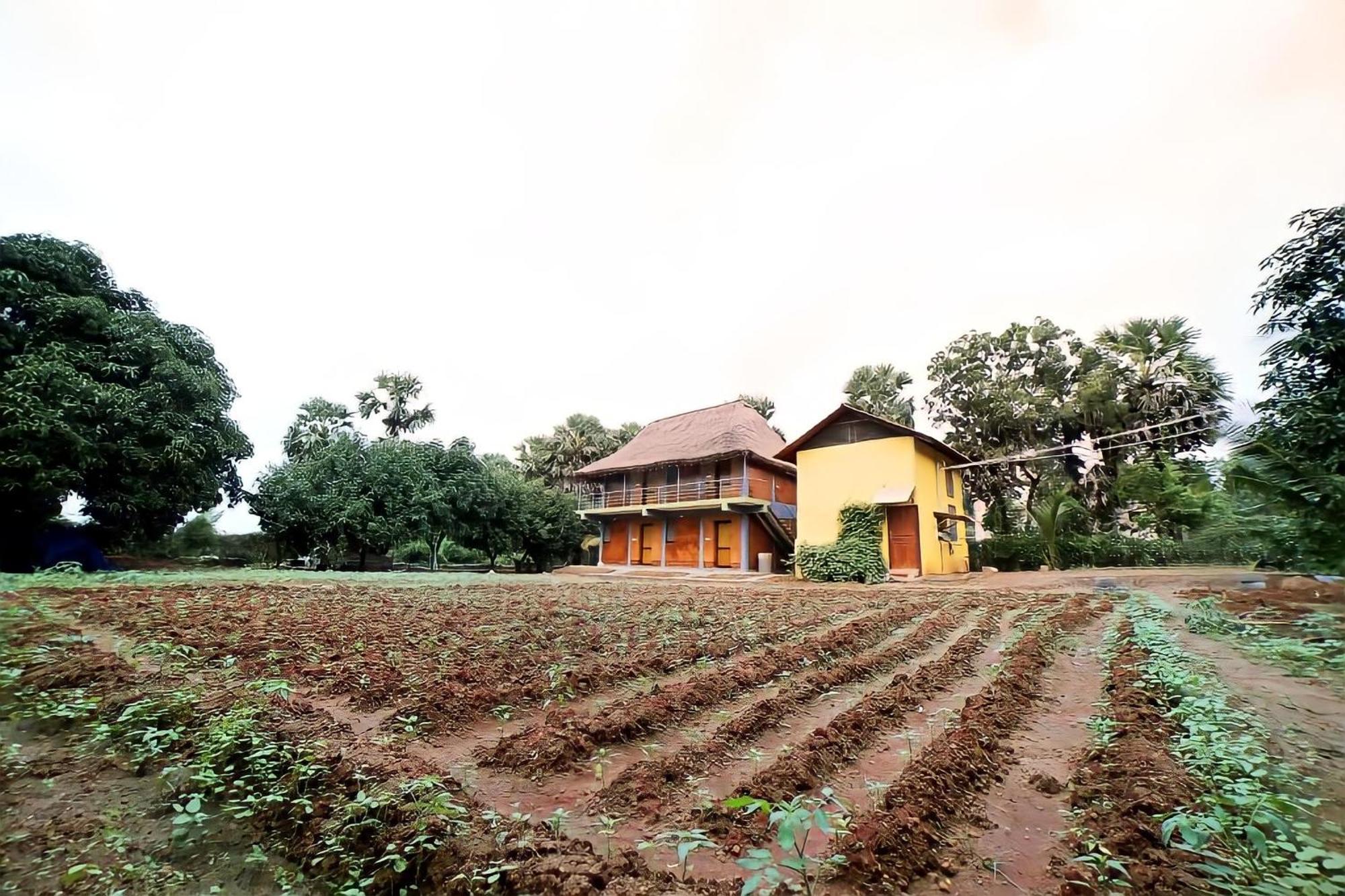 Time Travellers Farmstay Auroville Exterior foto