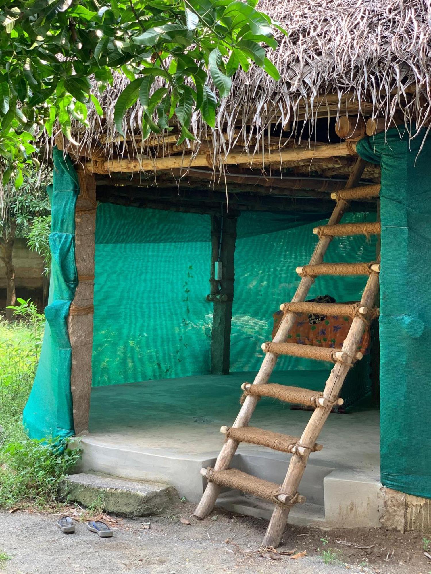 Time Travellers Farmstay Auroville Exterior foto